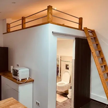 Tatil Evi Maison Independante Calme Foret Et Riviere Strasbourg Europa Park Rulantica 1 A 6 Personnes Fegersheim